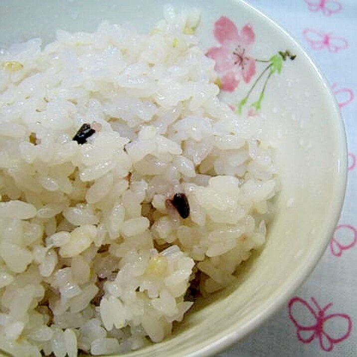 Wヘルシーで最強!糸コンニャクと雑穀米ごはん